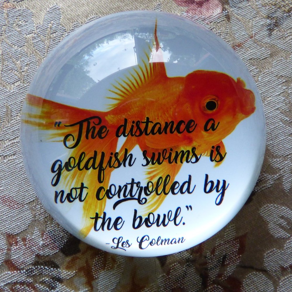 ARTIST HEAVY GLASS DOME PAPERWEIGHTS GOLDFISH NWOT